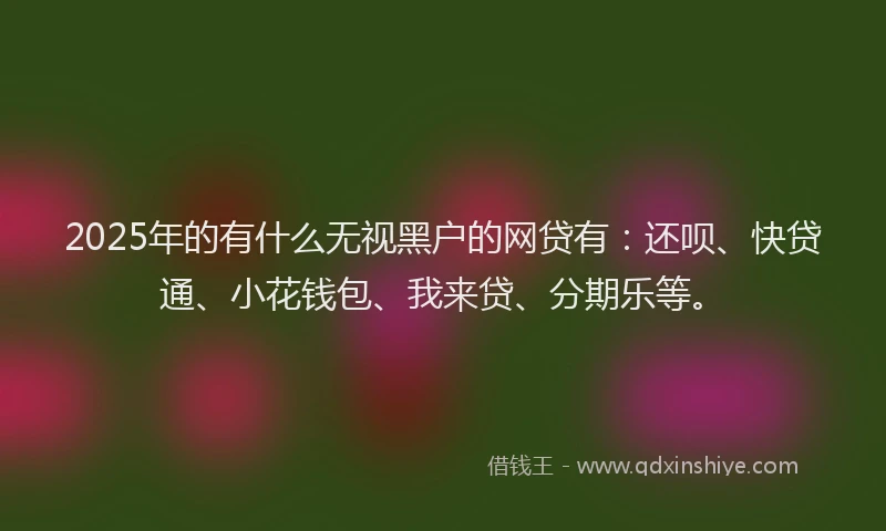 2025年的有什么无视黑户的网贷有：还呗、快贷通、小花钱包、我来贷、分期乐等。