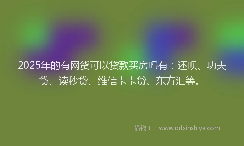 2025年的有网货可以贷款买房吗有：还呗、功夫贷、读秒贷、维信卡卡贷、东方汇等。