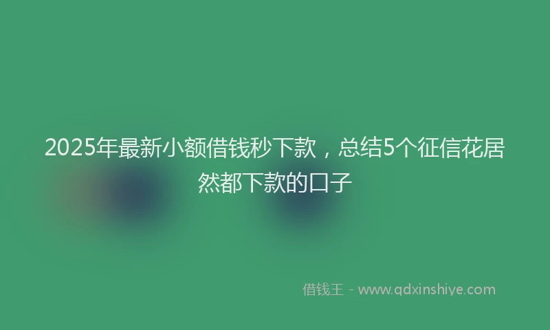2025年最新小额借钱秒下款，总结5个征信花居然都下款的口子