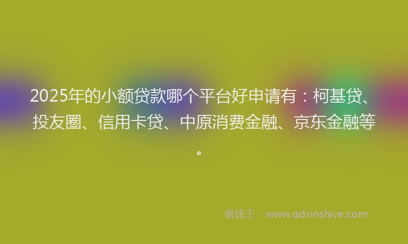 2025年的小额贷款哪个平台好申请有：柯基贷、投友圈、信用卡贷、中原消费金融、京东金融等。