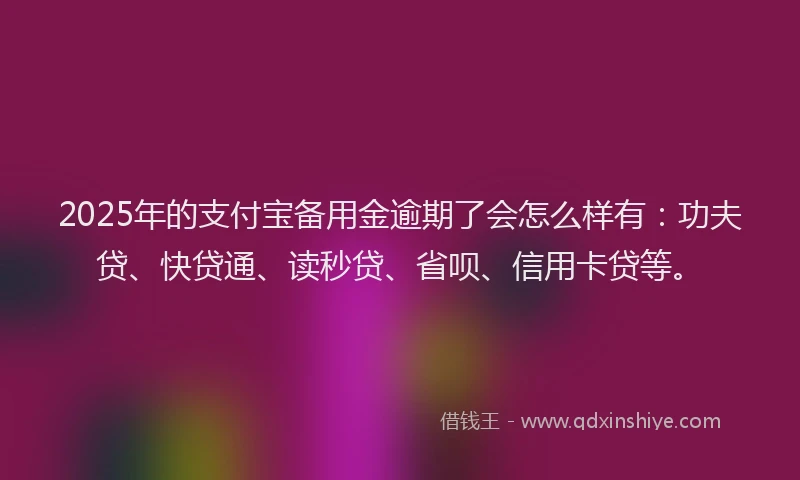 2025年的支付宝备用金逾期了会怎么样有：功夫贷、快贷通、读秒贷、省呗、信用卡贷等。