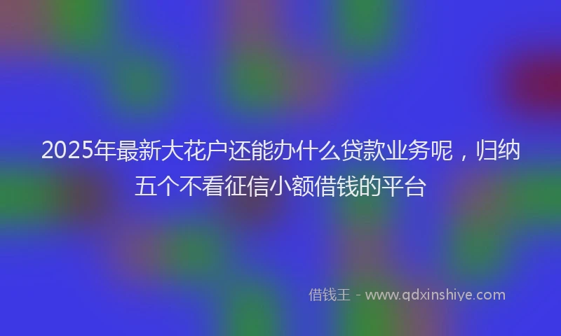 2025年最新大花户还能办什么贷款业务呢，归纳五个不看征信小额借钱的平台