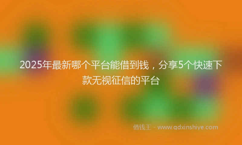 2025年最新哪个平台能借到钱，分享5个快速下款无视征信的平台