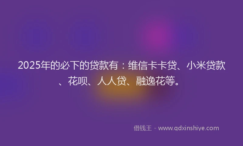 2025年的必下的贷款有：维信卡卡贷、小米贷款、花呗、人人贷、融逸花等。
