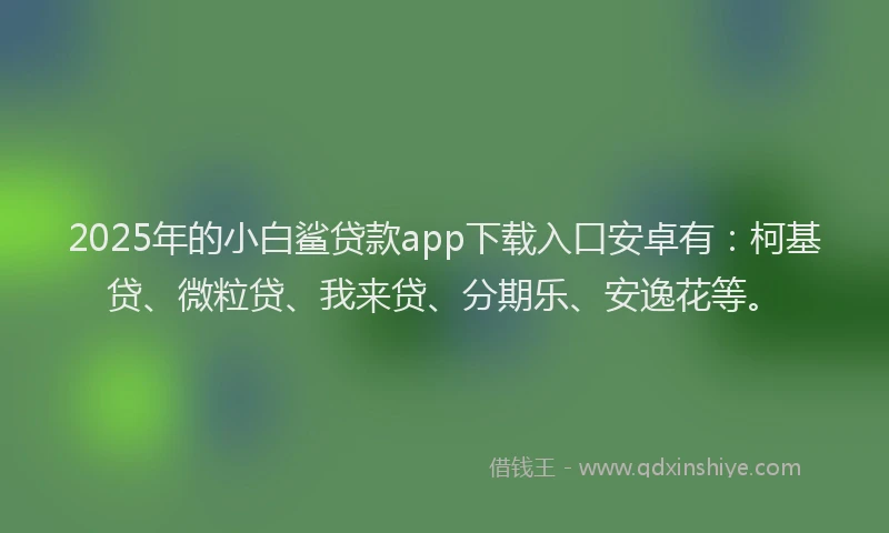 2025年的小白鲨贷款app下载入口安卓有：柯基贷、微粒贷、我来贷、分期乐、安逸花等。