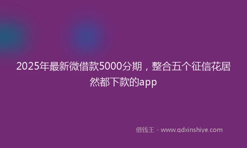 2025年最新微借款5000分期，整合五个征信花居然都下款的app
