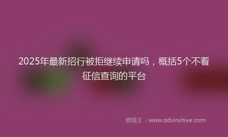 2025年最新招行被拒继续申请吗，概括5个不看征信查询的平台