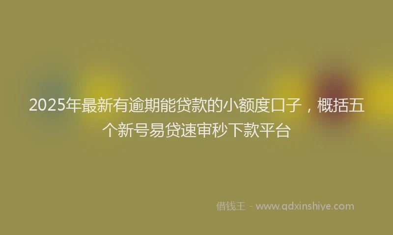2025年最新有逾期能贷款的小额度口子，概括五个新号易贷速审秒下款平台