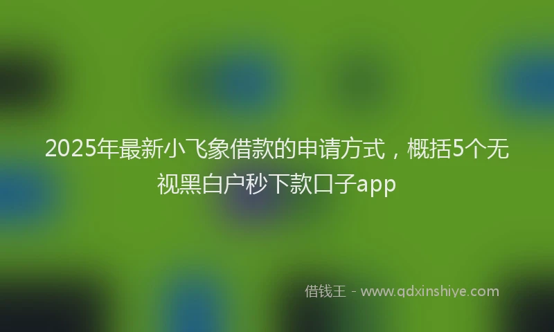 2025年最新小飞象借款的申请方式，概括5个无视黑白户秒下款口子app
