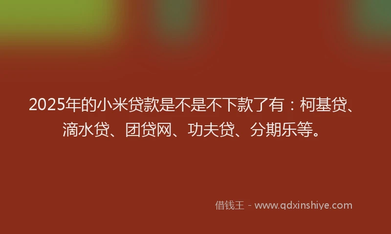2025年的小米贷款是不是不下款了有：柯基贷、滴水贷、团贷网、功夫贷、分期乐等。