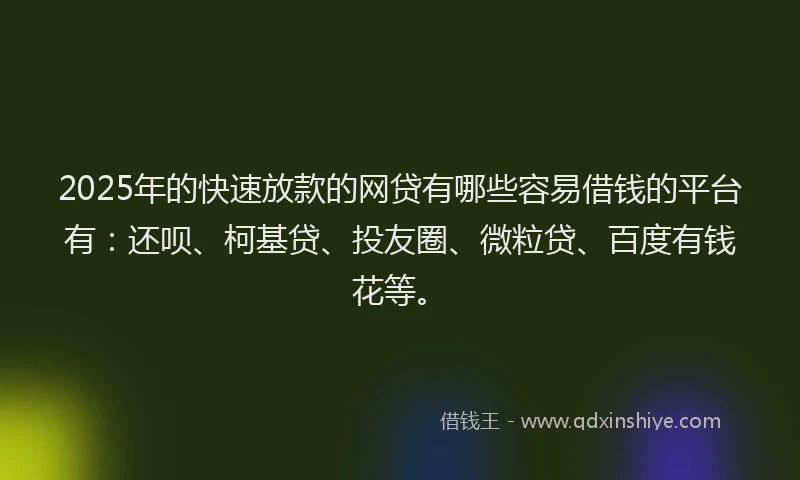 2025年的快速放款的网贷有哪些容易借钱的平台有：还呗、柯基贷、投友圈、微粒贷、百度有钱花等。