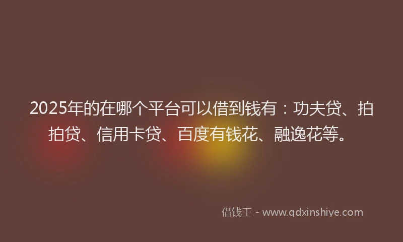 2025年的在哪个平台可以借到钱有：功夫贷、拍拍贷、信用卡贷、百度有钱花、融逸花等。