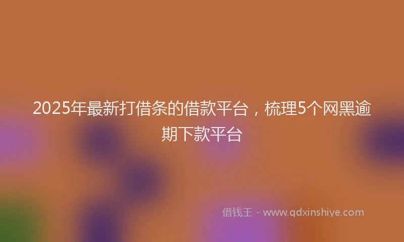 2025年最新打借条的借款平台，梳理5个网黑逾期下款平台