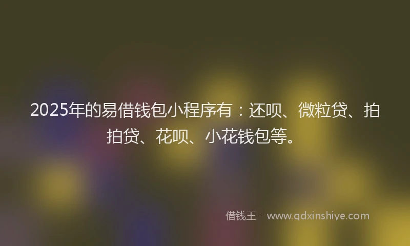 2025年的易借钱包小程序有：还呗、微粒贷、拍拍贷、花呗、小花钱包等。