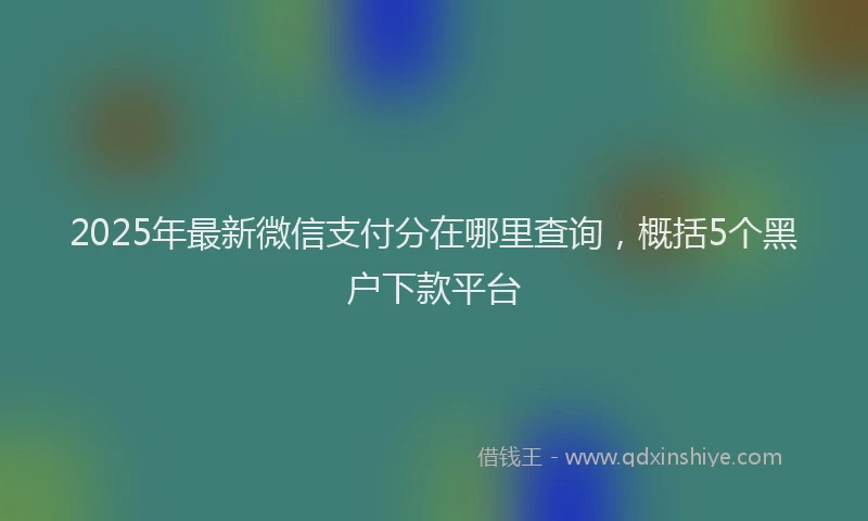 2025年最新微信支付分在哪里查询，概括5个黑户下款平台