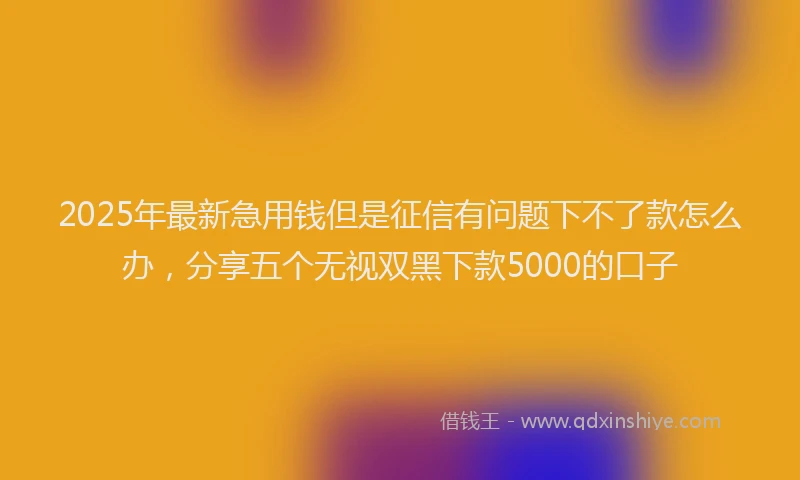 2025年最新急用钱但是征信有问题下不了款怎么办，分享五个无视双黑下款5000的口子