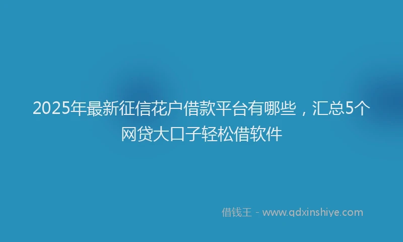 2025年最新征信花户借款平台有哪些，汇总5个网贷大口子轻松借软件
