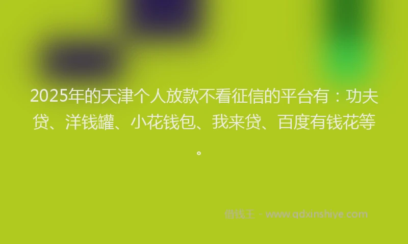 2025年的天津个人放款不看征信的平台有：功夫贷、洋钱罐、小花钱包、我来贷、百度有钱花等。