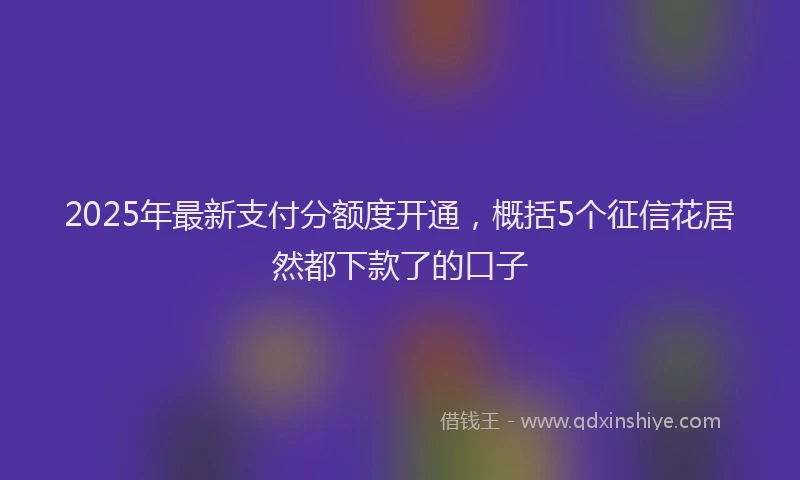 2025年最新支付分额度开通，概括5个征信花居然都下款了的口子