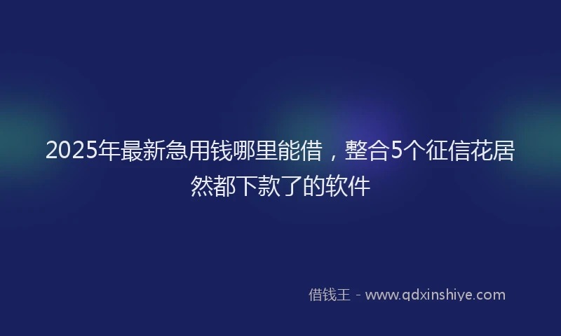 2025年最新急用钱哪里能借，整合5个征信花居然都下款了的软件