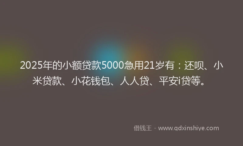 2025年的小额贷款5000急用21岁有：还呗、小米贷款、小花钱包、人人贷、平安i贷等。