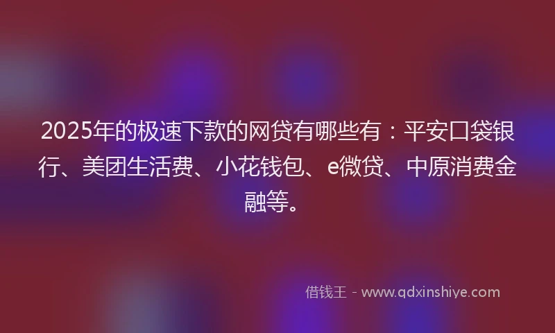 2025年的极速下款的网贷有哪些有：平安口袋银行、美团生活费、小花钱包、e微贷、中原消费金融等。