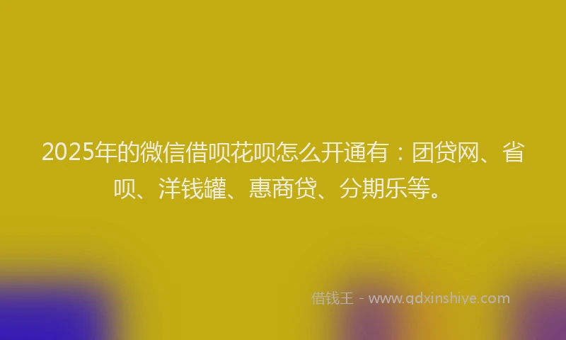 2025年的微信借呗花呗怎么开通有：团贷网、省呗、洋钱罐、惠商贷、分期乐等。
