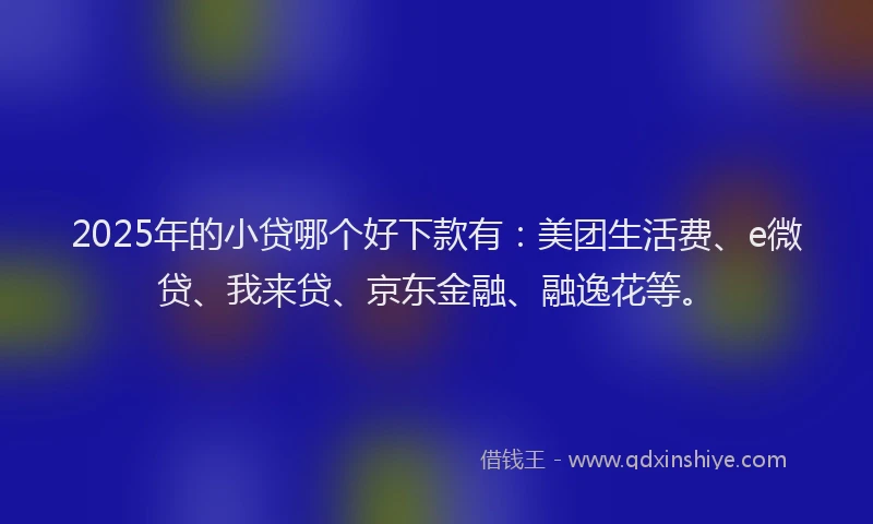 2025年的小贷哪个好下款有：美团生活费、e微贷、我来贷、京东金融、融逸花等。