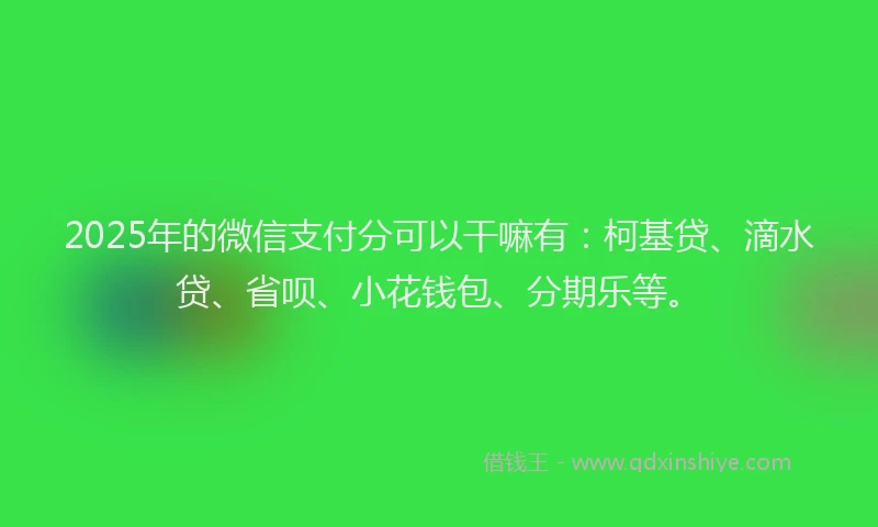 2025年的微信支付分可以干嘛有：柯基贷、滴水贷、省呗、小花钱包、分期乐等。