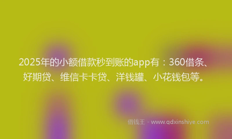 2025年的小额借款秒到账的app有：360借条、好期贷、维信卡卡贷、洋钱罐、小花钱包等。