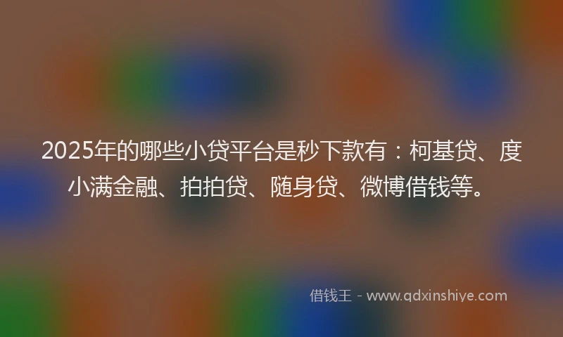 2025年的哪些小贷平台是秒下款有：柯基贷、度小满金融、拍拍贷、随身贷、微博借钱等。