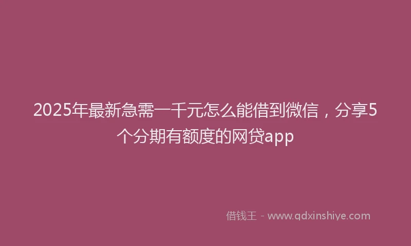 2025年最新急需一千元怎么能借到微信，分享5个分期有额度的网贷app