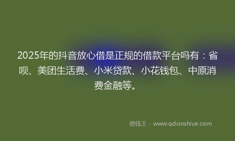 2025年的抖音放心借是正规的借款平台吗有：省呗、美团生活费、小米贷款、小花钱包、中原消费金融等。