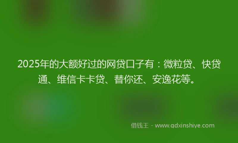 2025年的大额好过的网贷口子有：微粒贷、快贷通、维信卡卡贷、替你还、安逸花等。