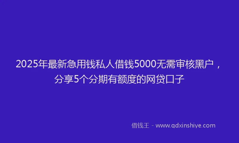 2025年最新急用钱私人借钱5000无需审核黑户，分享5个分期有额度的网贷口子