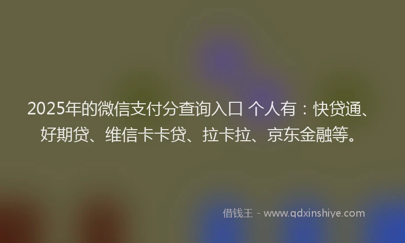 2025年的微信支付分查询入口 个人有：快贷通、好期贷、维信卡卡贷、拉卡拉、京东金融等。