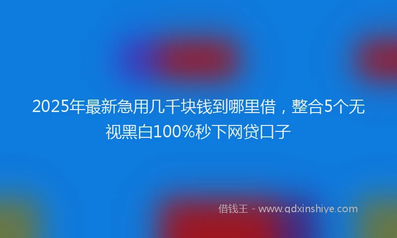 2025年最新急用几千块钱到哪里借，整合5个无视黑白100%秒下网贷口子