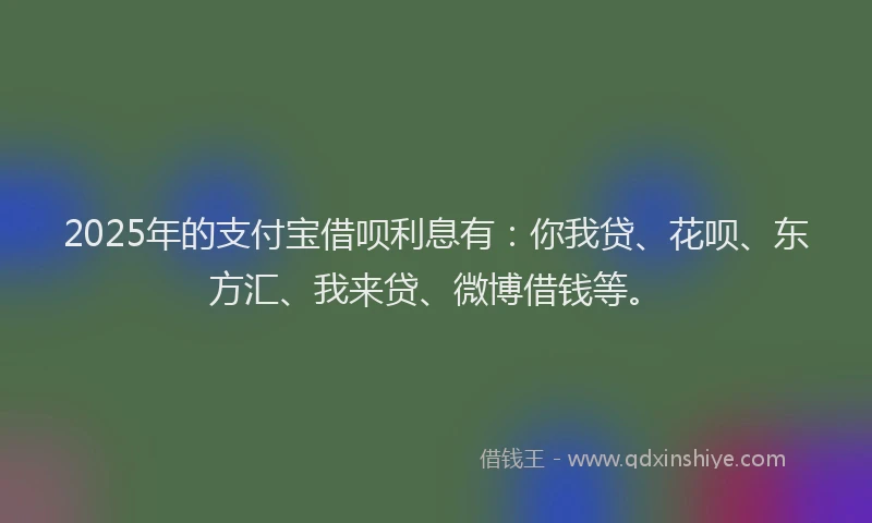 2025年的支付宝借呗利息有：你我贷、花呗、东方汇、我来贷、微博借钱等。