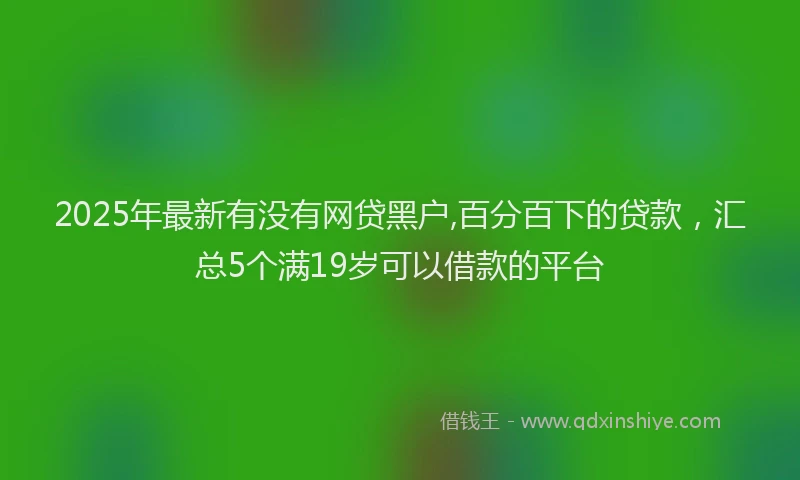 2025年最新有没有网贷黑户,百分百下的贷款，汇总5个满19岁可以借款的平台
