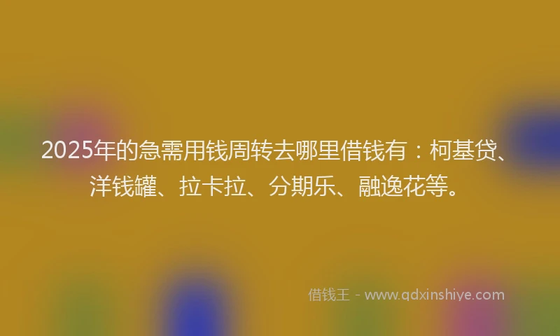 2025年的急需用钱周转去哪里借钱有：柯基贷、洋钱罐、拉卡拉、分期乐、融逸花等。