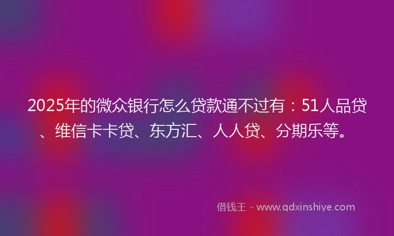 2025年的微众银行怎么贷款通不过有：51人品贷、维信卡卡贷、东方汇、人人贷、分期乐等。