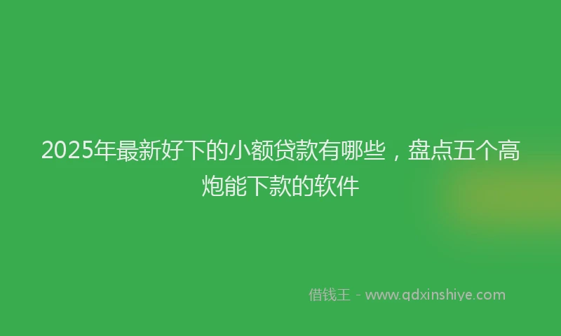 2025年最新好下的小额贷款有哪些，盘点五个高炮能下款的软件