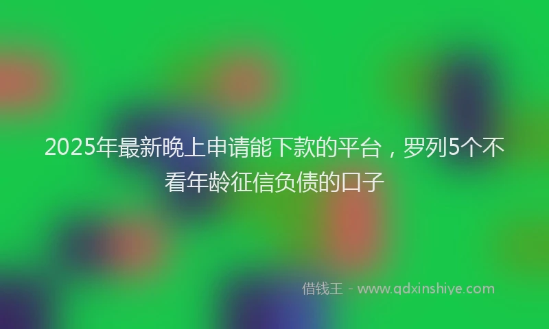 2025年最新晚上申请能下款的平台，罗列5个不看年龄征信负债的口子