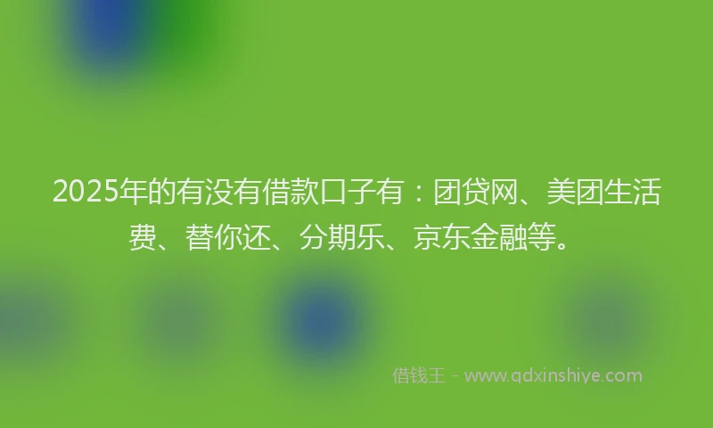 2025年的有没有借款口子有：团贷网、美团生活费、替你还、分期乐、京东金融等。