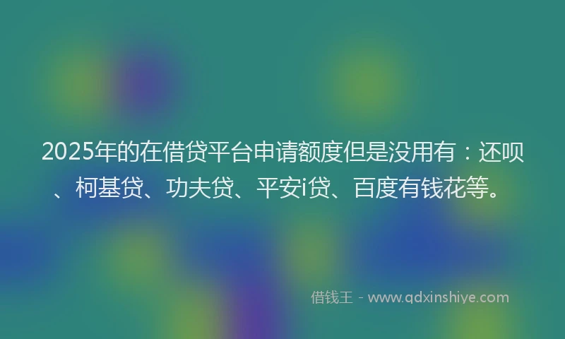 2025年的在借贷平台申请额度但是没用有：还呗、柯基贷、功夫贷、平安i贷、百度有钱花等。