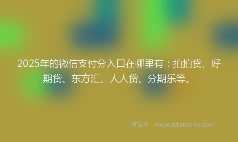 2025年的微信支付分入口在哪里有：拍拍贷、好期贷、东方汇、人人贷、分期乐等。
