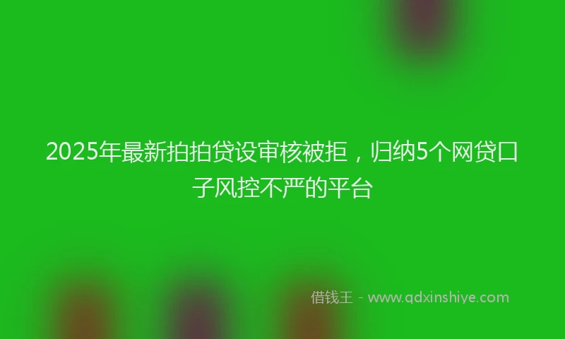 2025年最新拍拍贷设审核被拒，归纳5个网贷口子风控不严的平台