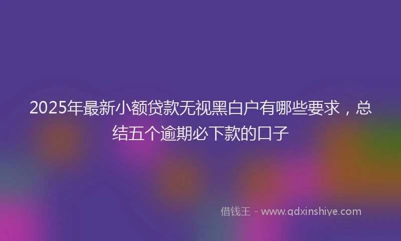 2025年最新小额贷款无视黑白户有哪些要求，总结五个逾期必下款的口子