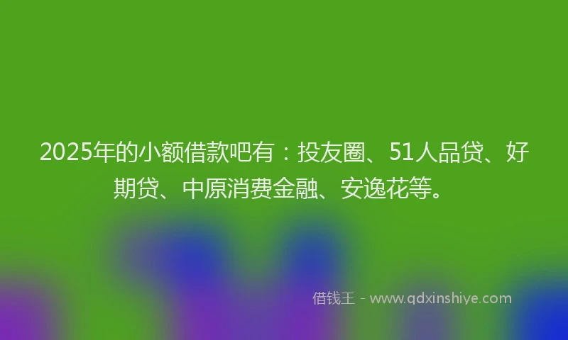 2025年的小额借款吧有：投友圈、51人品贷、好期贷、中原消费金融、安逸花等。