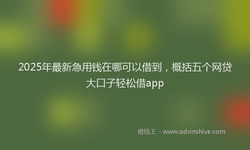 2025年最新急用钱在哪可以借到，概括五个网贷大口子轻松借app